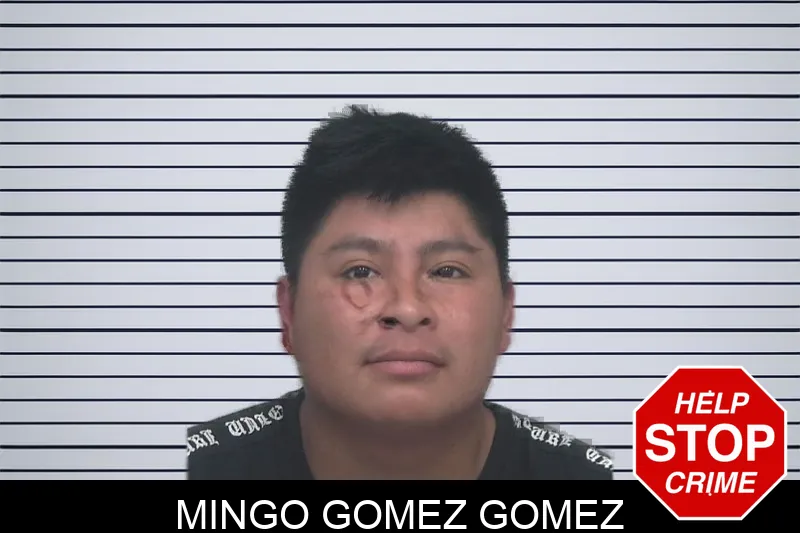Mingo Gomez Gomez mugshot