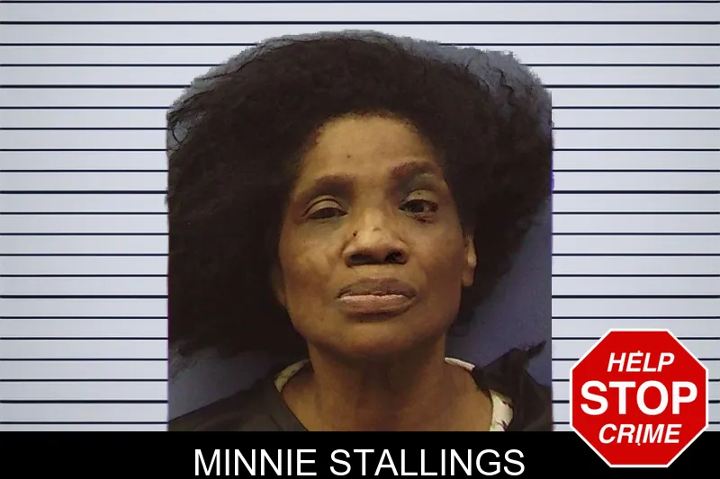 Minnie Stallings mugshot