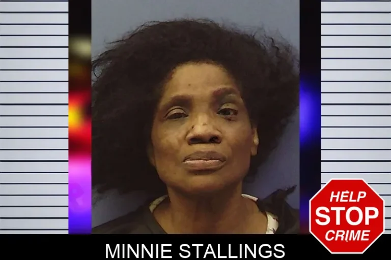 Minnie Stallings mugshot – Chattooga County , Georgia Minnie Stallings