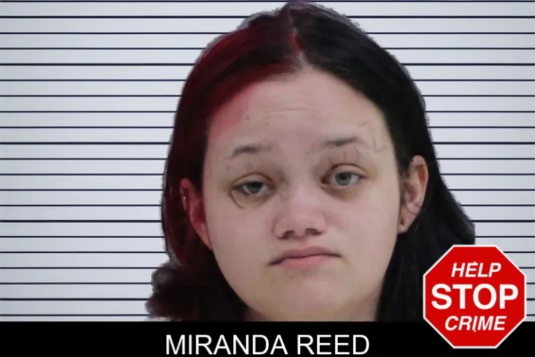 Miranda Reed