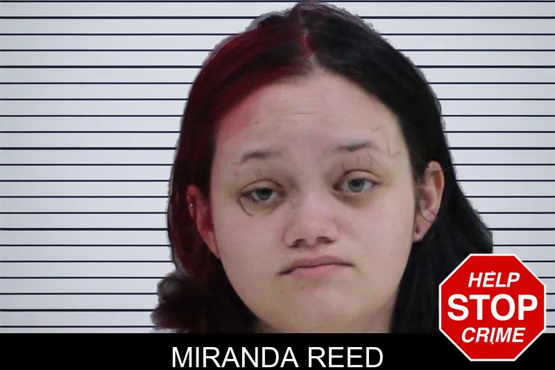 Miranda Reed mugshot – Rabun County , Georgia Miranda Reed mugshot