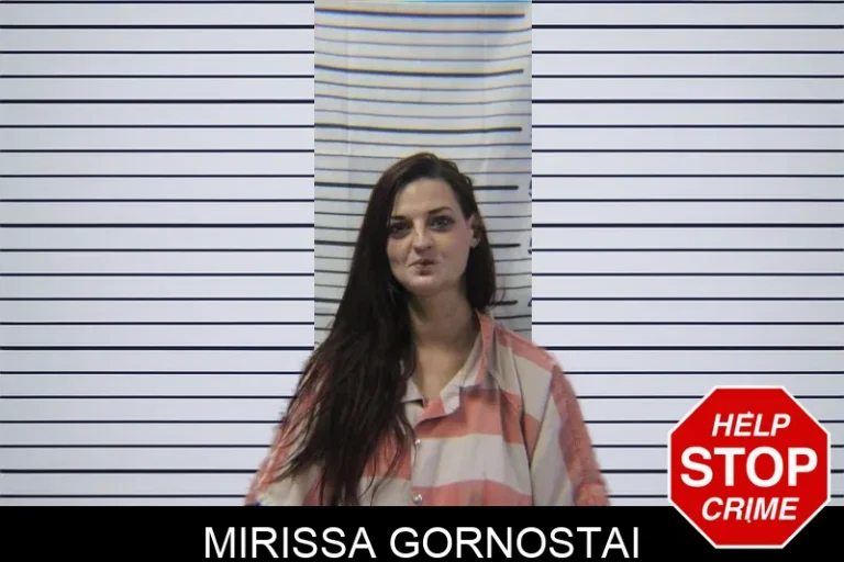 Mirissa Gornostai mugshot – Stephens County , Georgia Mirissa Gornostai