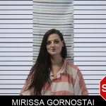 Mirissa Gornostai mugshot – Stephens County , Georgia Mirissa Gornostai mugshot