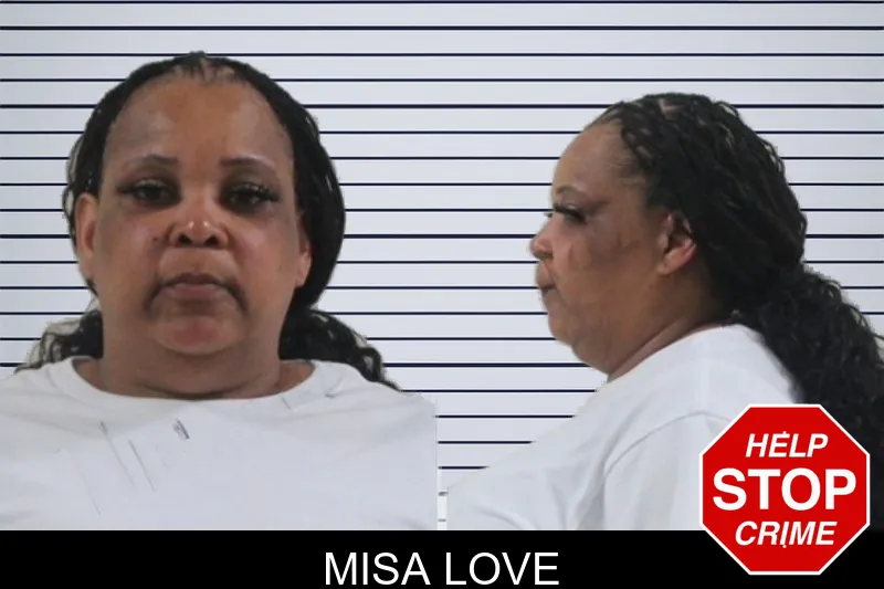 Misa Love mugshot