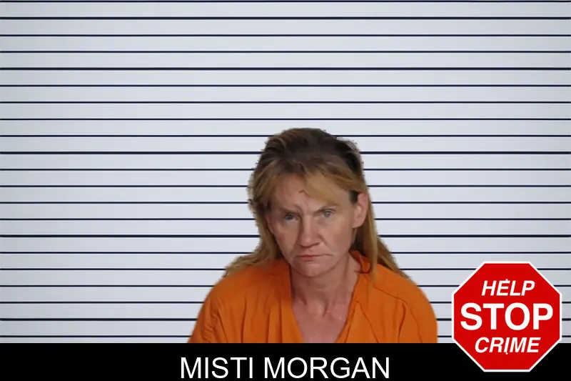 Misti Morgan mugshot – Rockdale County , Georgia Misti Morgan mugshot