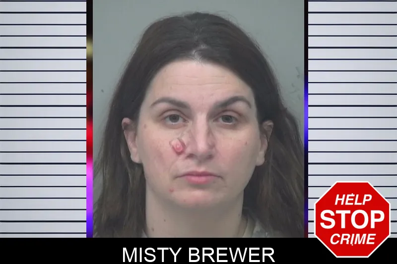 Misty Brewer mugshot