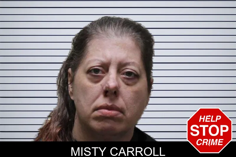 Misty Carroll mugshot – Haralson County , Georgia Misty Carroll mugshot