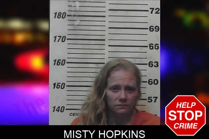 Misty Hopkins mugshot – Meriwether County , Georgia Misty Hopkins mugshot