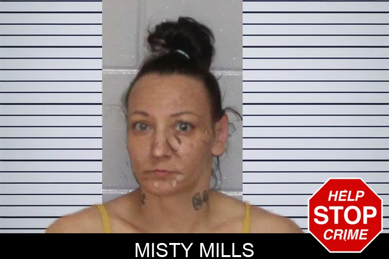 Misty Mills mugshot