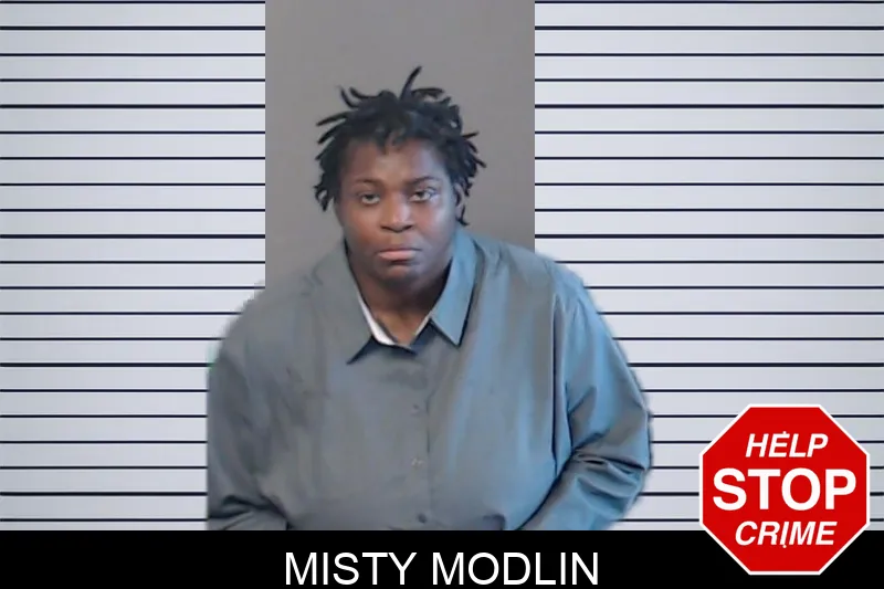 Misty Modlin mugshot – DeKalb County , Georgia Misty Modlin mugshot