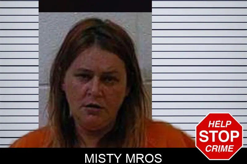 Misty Mros mugshot