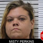 Misty Perkins mugshot
