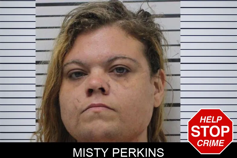 Misty Perkins mugshot