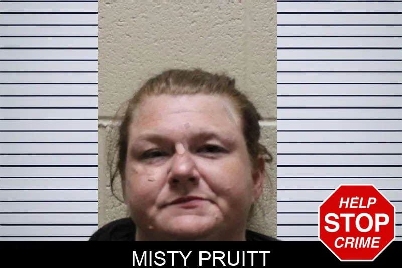 Misty Pruitt mugshot – Haralson County , Georgia Misty Pruitt mugshot