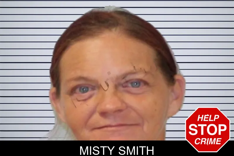Misty Smith mugshot – Seminole County , Georgia Misty Smith mugshot