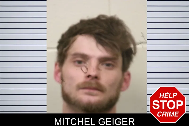 Mitchel Geiger mugshot – Bulloch County , Georgia Mitchel Geiger mugshot