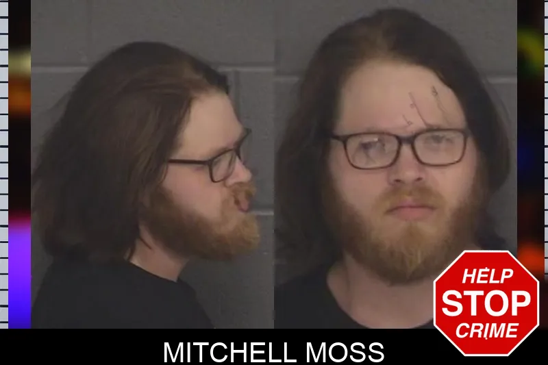 Mitchell Moss mugshot