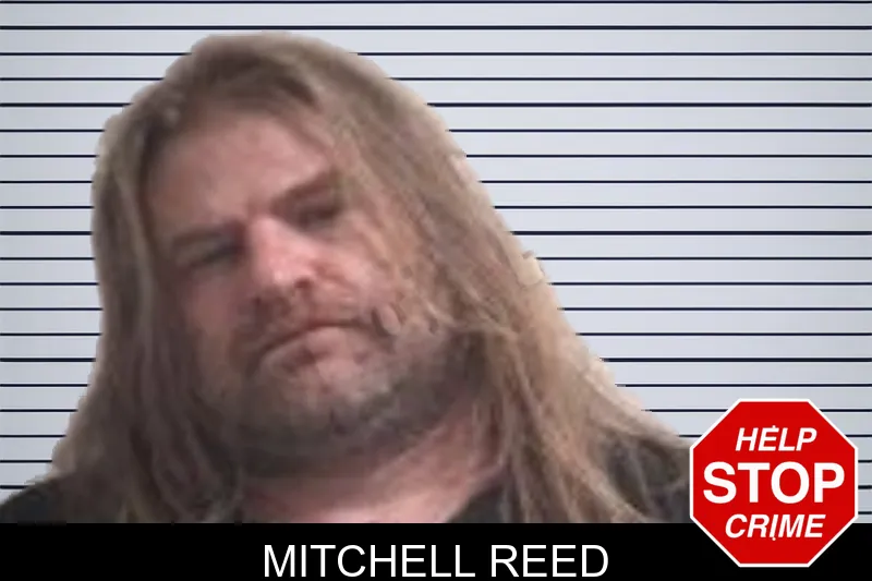Mitchell Reed mugshot