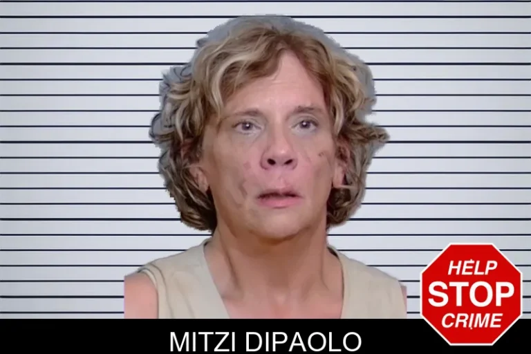 Mitzi Dipaolo mugshot – Glynn County , Georgia Mitzi Dipaolo