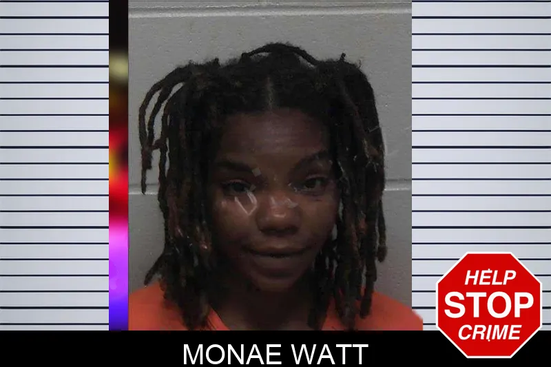 Monae Watt mugshot – Laurens County , Georgia Monae Watt mugshot