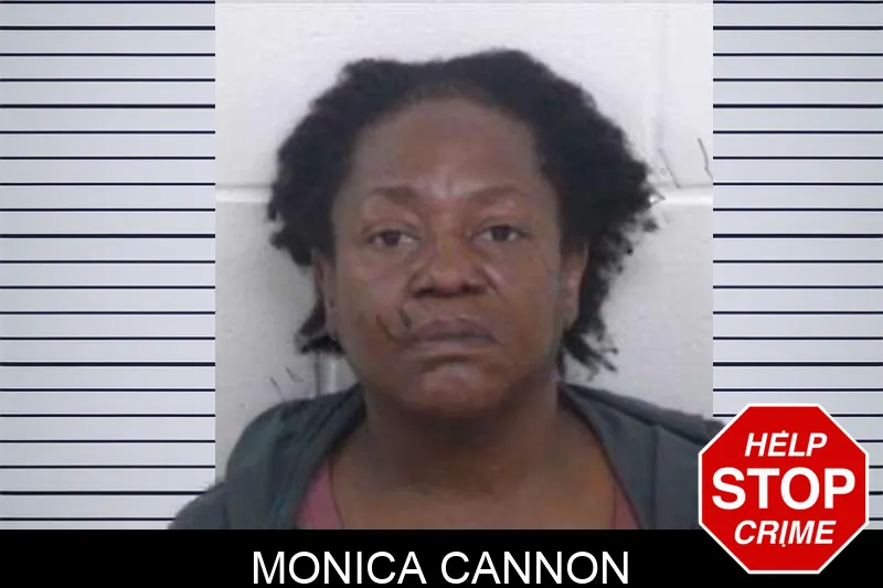 Monica Cannon mugshot