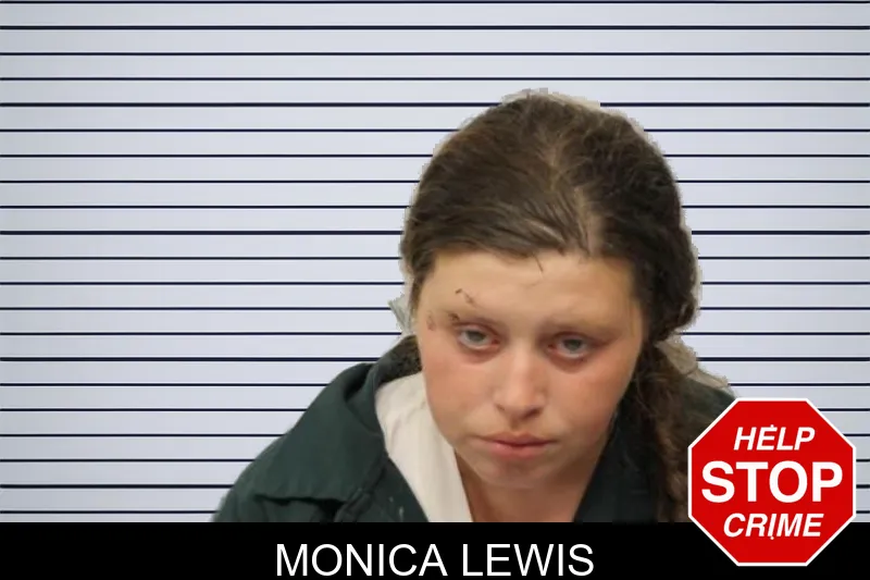 Monica Lewis mugshot – Chatham County , Georgia Monica Lewis mugshot