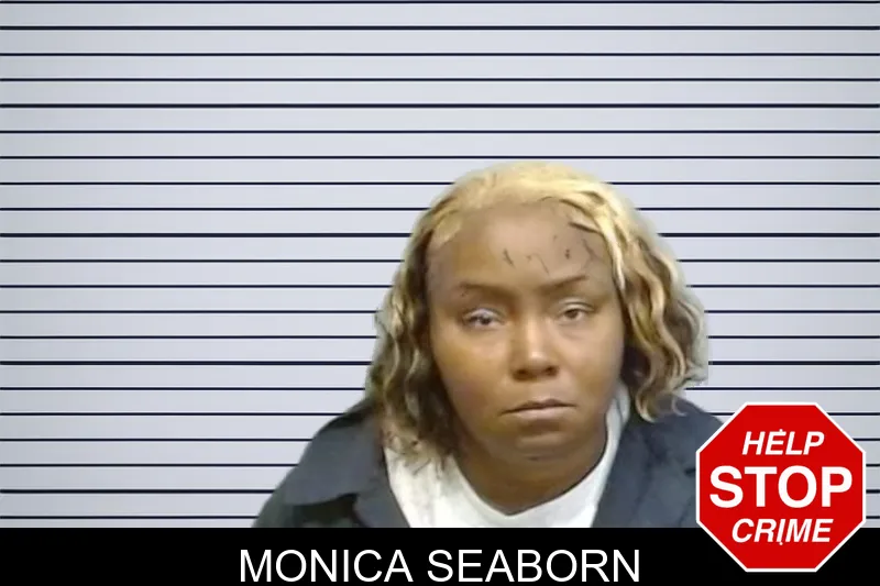 Monica Seaborn mugshot
