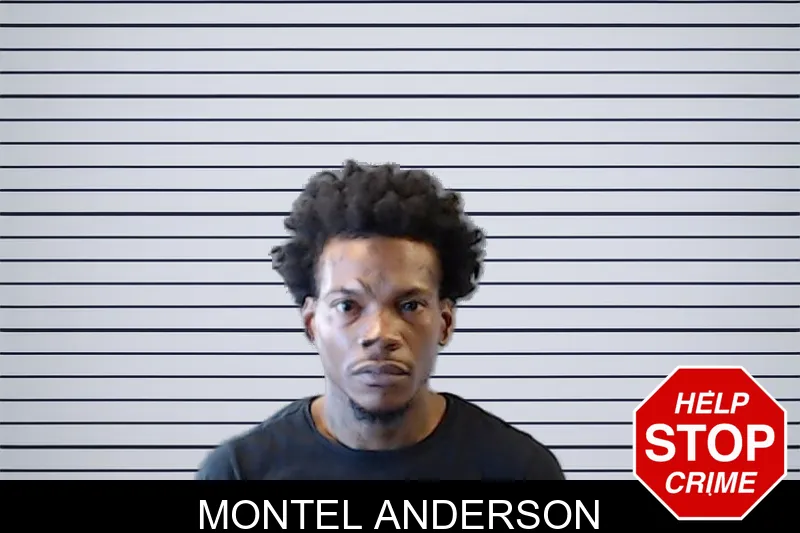 Montel Anderson mugshot – DeKalb County , Georgia Montel Anderson mugshot