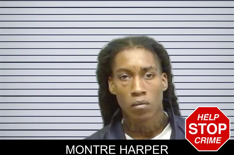 Montre Harper mugshot