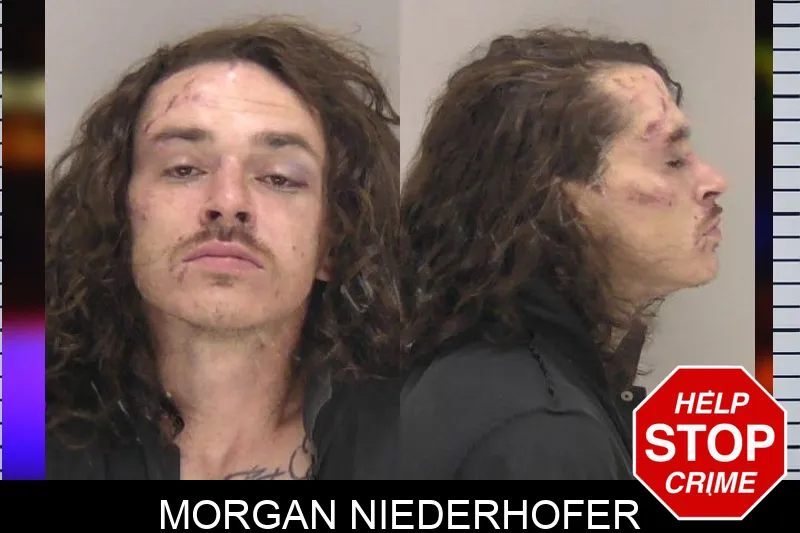 Morgan Niederhofer mugshot