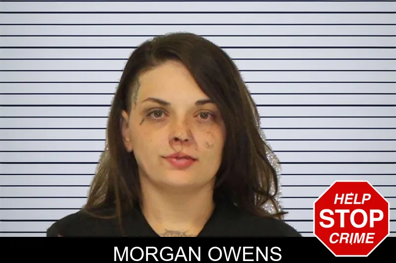 Morgan Owens mugshot – Carroll County , Georgia Morgan Owens mugshot