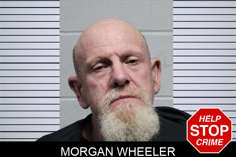 Morgan Wheeler mugshot