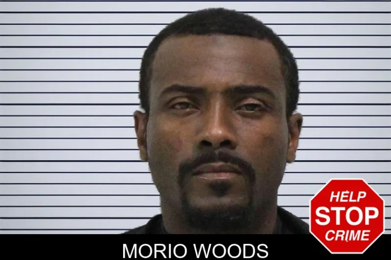 Morio Woods
