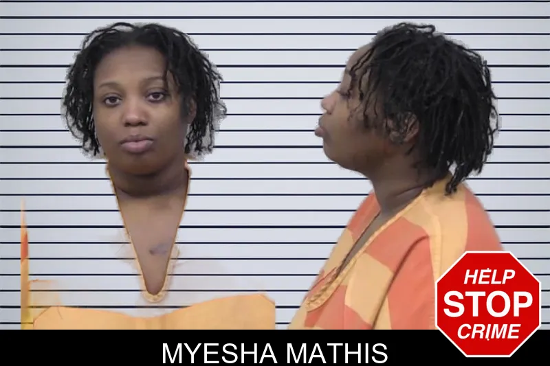 Myesha Mathis mugshot – Paulding County , Georgia Myesha Mathis mugshot
