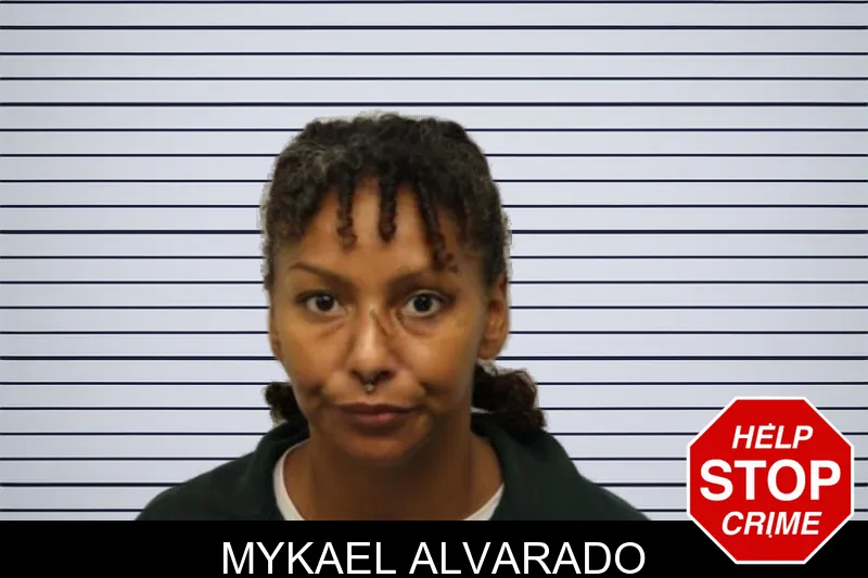 Mykael Alvarado mugshot – Chatham County , Georgia Mykael Alvarado mugshot
