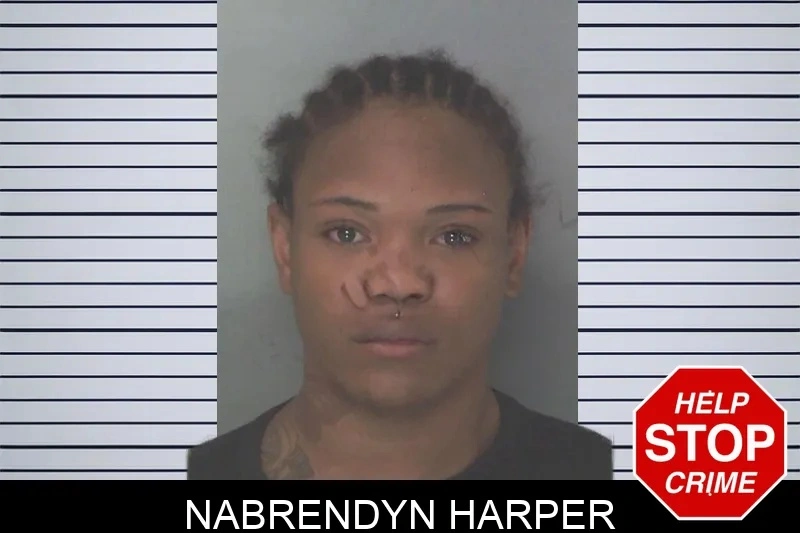 Nabrendyn Harper mugshot – Douglas County , Georgia Nabrendyn Harper mugshot