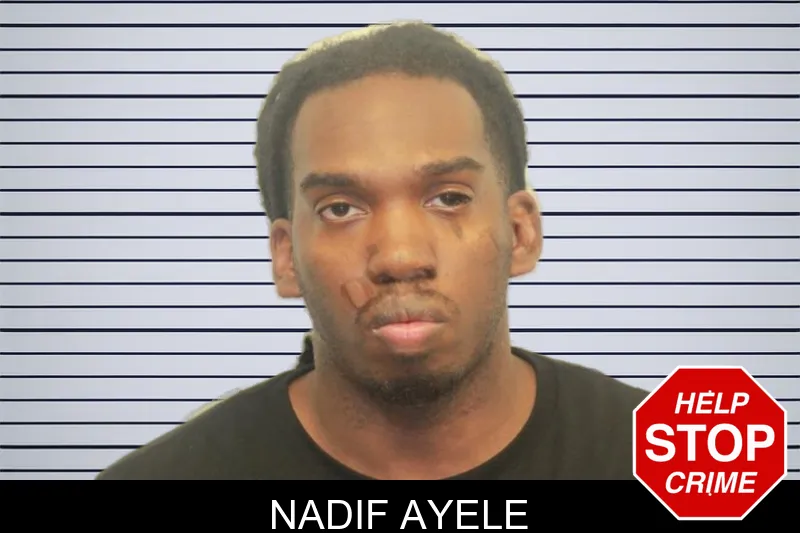 Nadif Ayele mugshot – Chatham County , Georgia Nadif Ayele mugshot