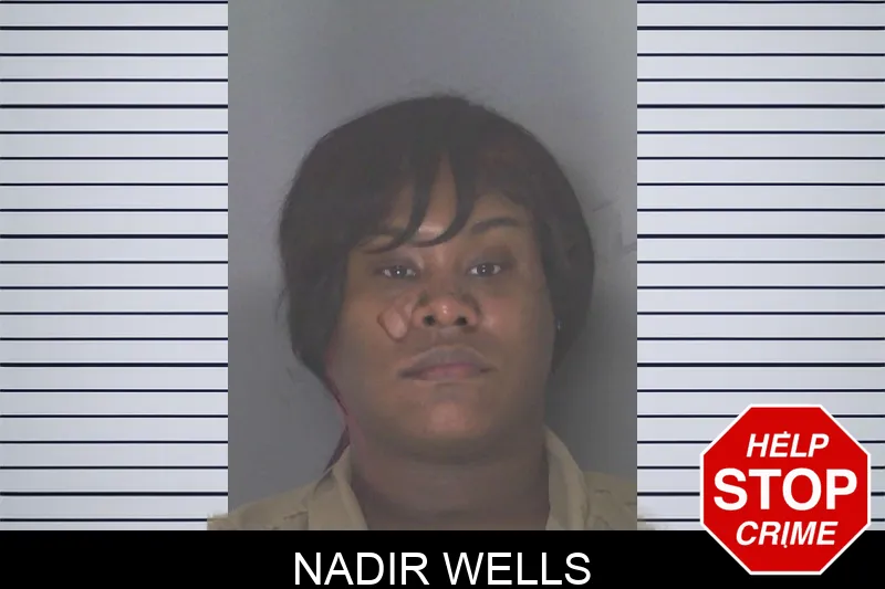 Nadir Wells mugshot