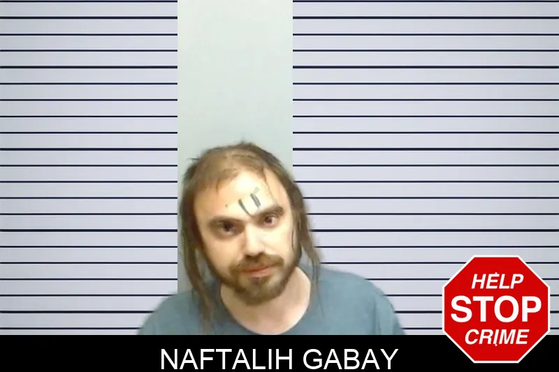 Naftalih Gabay mugshot – Fulton County , Georgia Naftalih Gabay mugshot