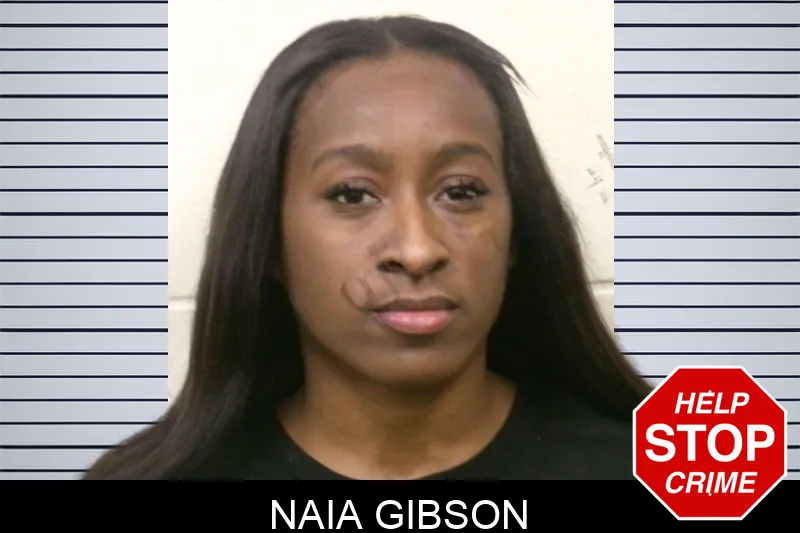 Naia Gibson mugshot
