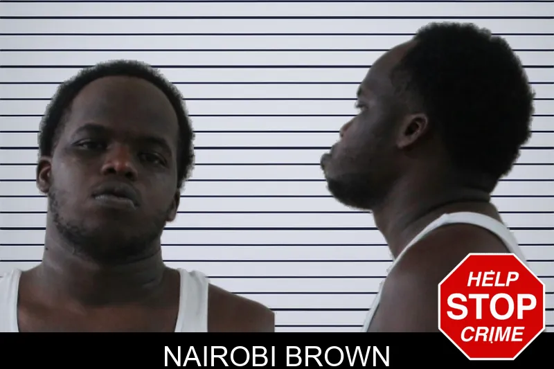 Nairobi Brown mugshot – Houston County , Georgia Nairobi Brown mugshot