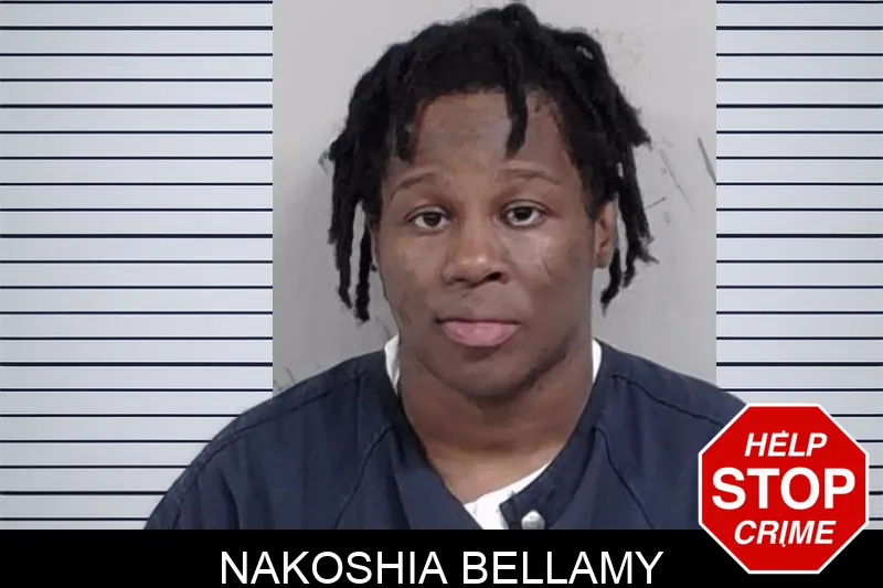 Nakoshia Bellamy mugshot – Lowndes County , Georgia Nakoshia Bellamy mugshot