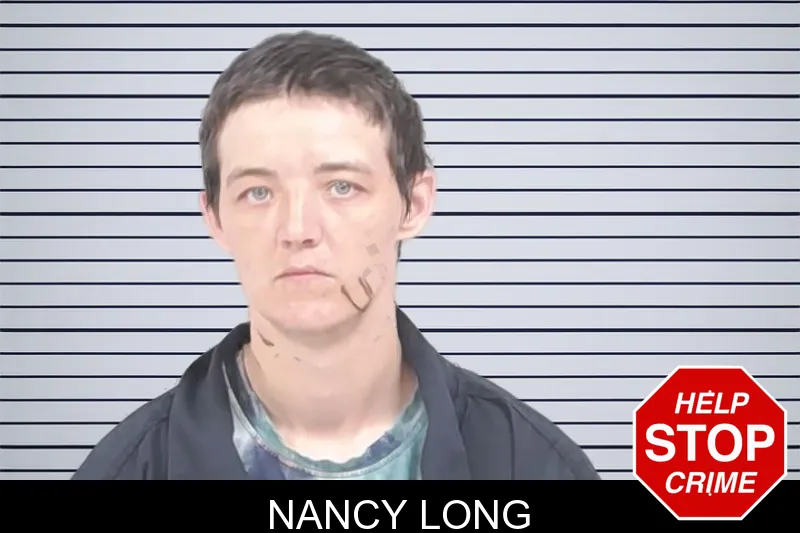 Nancy Long mugshot