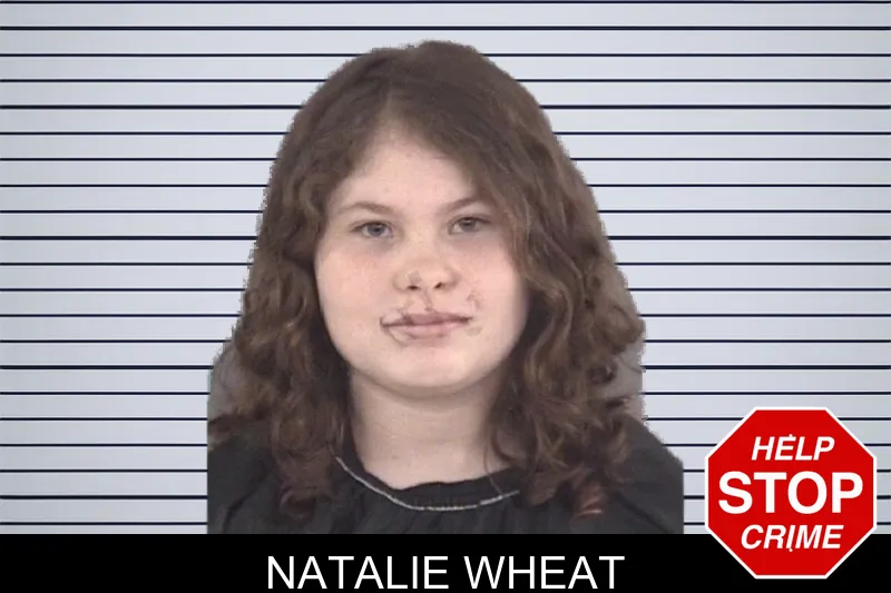 Natalie Wheat mugshot – Spalding County , Georgia Natalie Wheat mugshot
