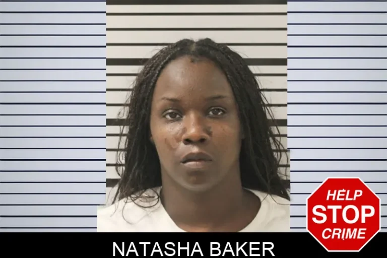 Natasha Baker mugshot – Toombs County , Georgia Natasha Baker