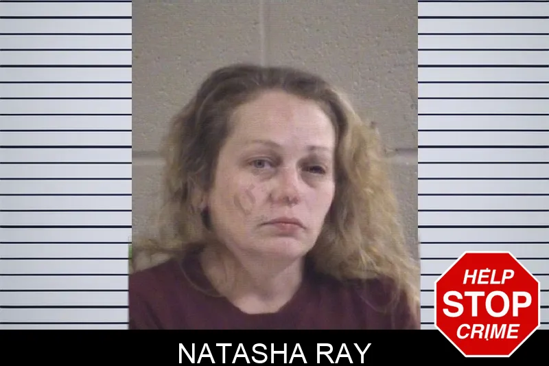 Natasha Ray mugshot – Whitfield County , Georgia Natasha Ray mugshot