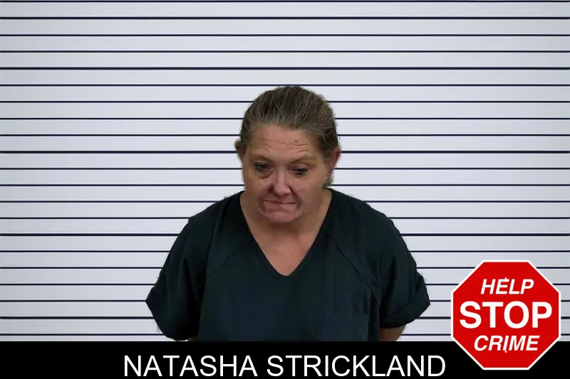 Natasha Strickland mugshot – Jeff Davis County , Georgia Natasha Strickland mugshot