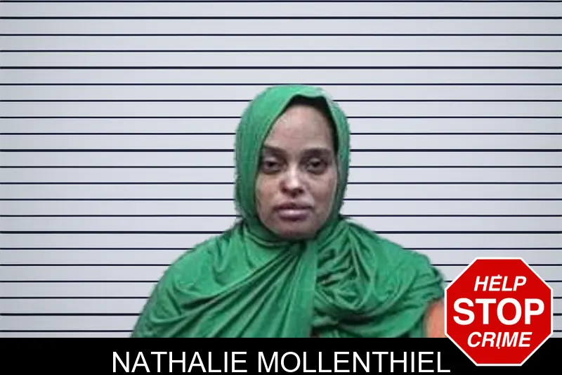 Nathalie Mollenthiel mugshot