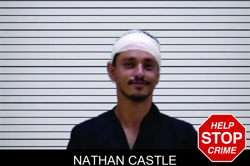 Nathan Castle mugshot
