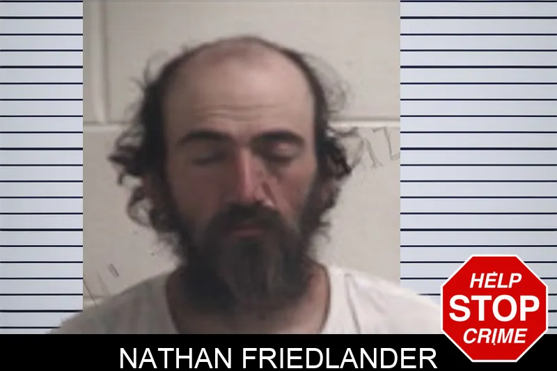 Nathan Friedlander mugshot